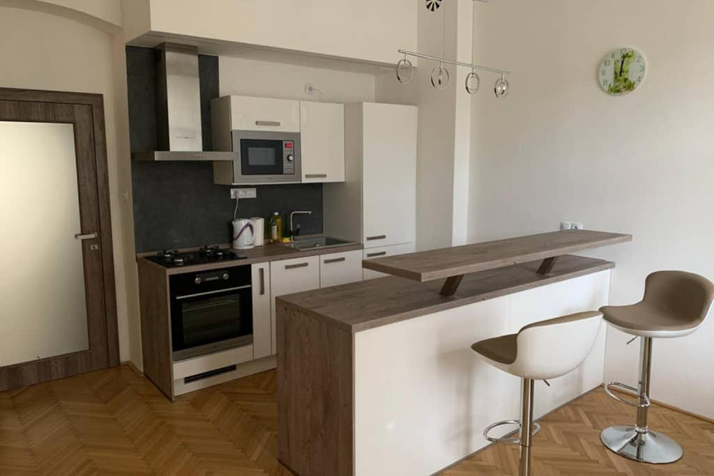 Apartman Centrum 301 Ústí nad Labem Dış mekan fotoğraf